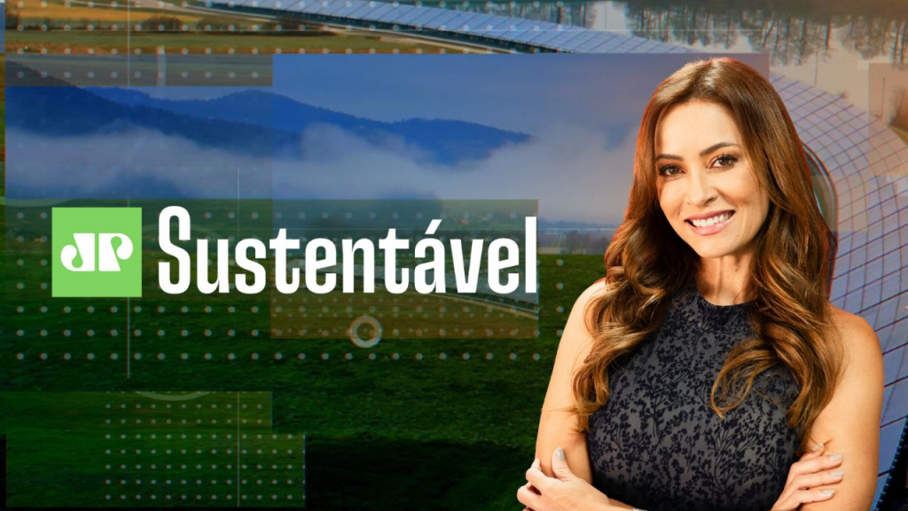 Como o setor de transporte avalia o fim do uso do petróleo