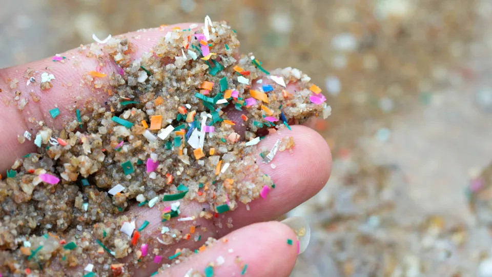 Microplásticos podem prejudicar memória e funções cerebrais, diz estudo