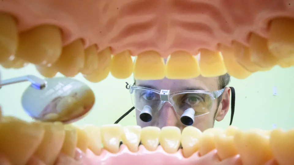 Países com a melhor (e pior) saúde oral do mundo