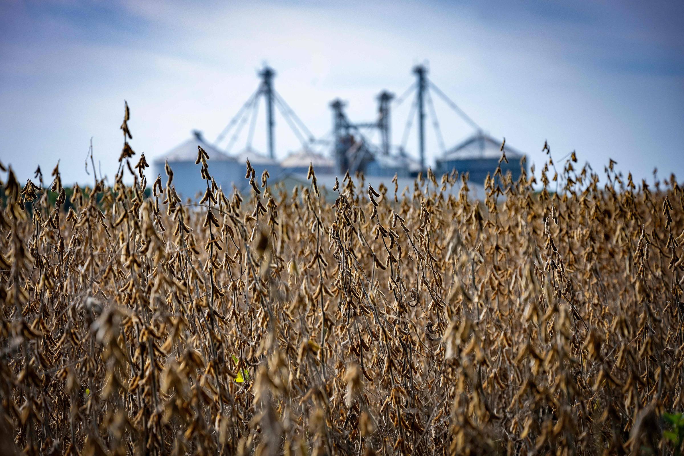 Produtores de soja dos EUA sofrem com bloqueio chinês – 27/09/2025 – Mercado