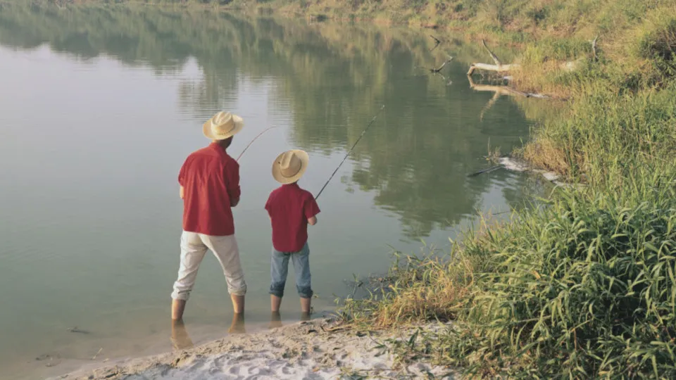 Que tipo de pai ou mãe você é, de acordo com seu signo