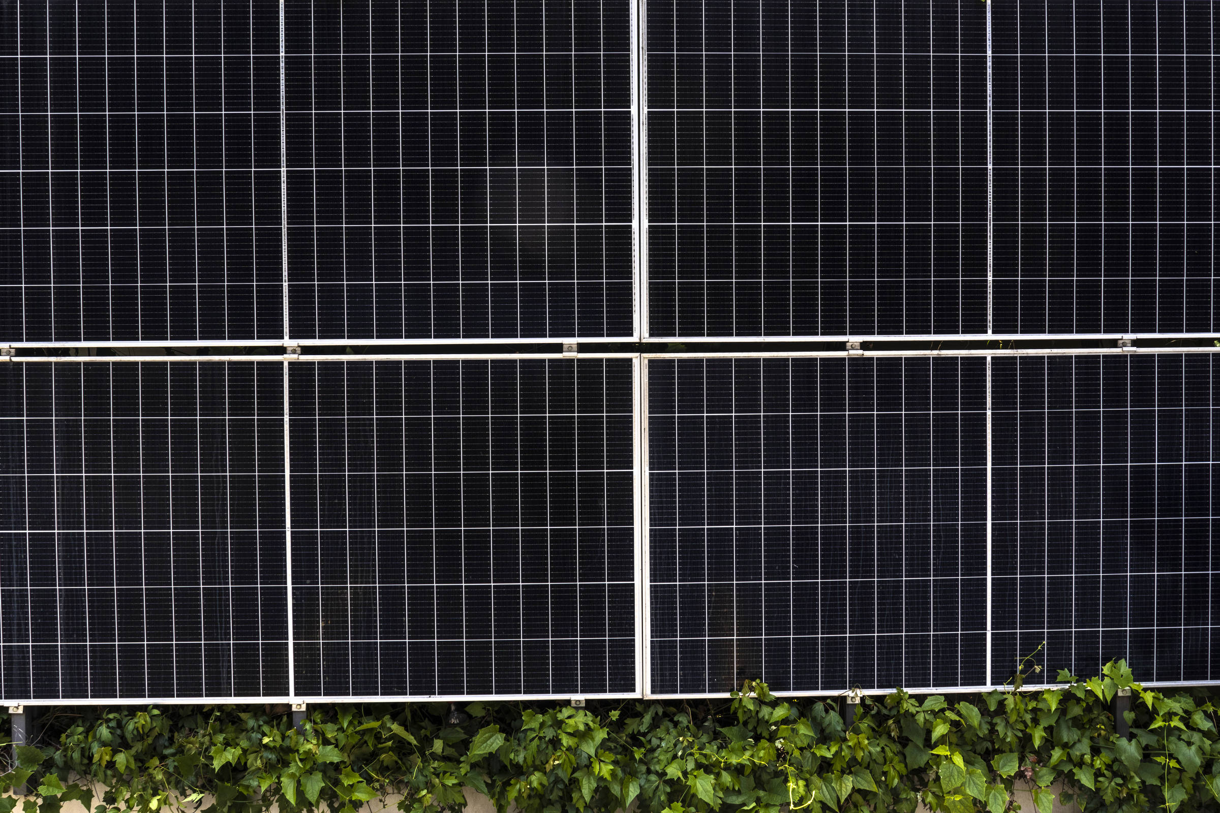 Venda irregular de energia solar pode dar até 60% de ganho – 28/09/2025 – Mercado