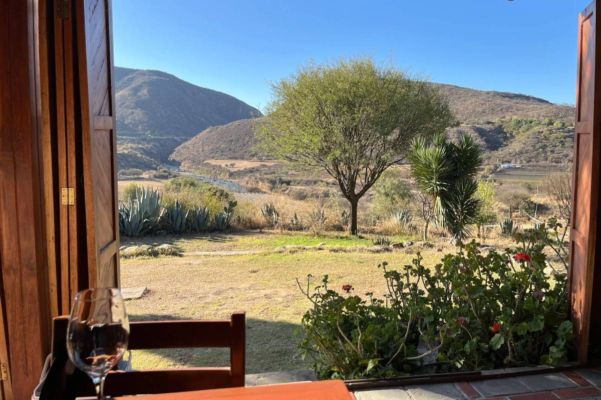 Vinho: sul da Bolívia tem produção em alta altitude – 23/09/2025 – Comida