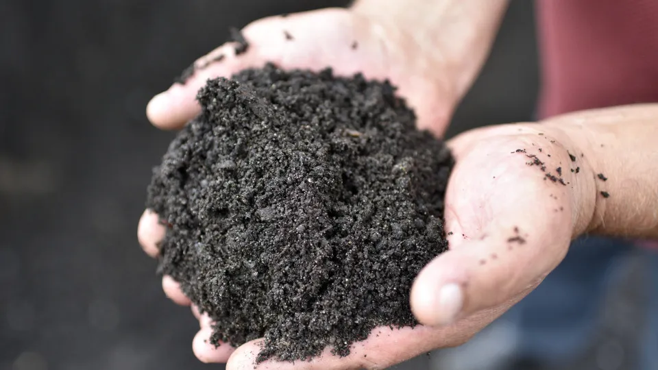 A controvérsia da compostagem humana – e onde ela é legal