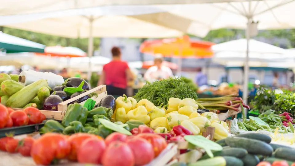 Alimentos funcionais: o que são e como ajudam a prevenir doenças