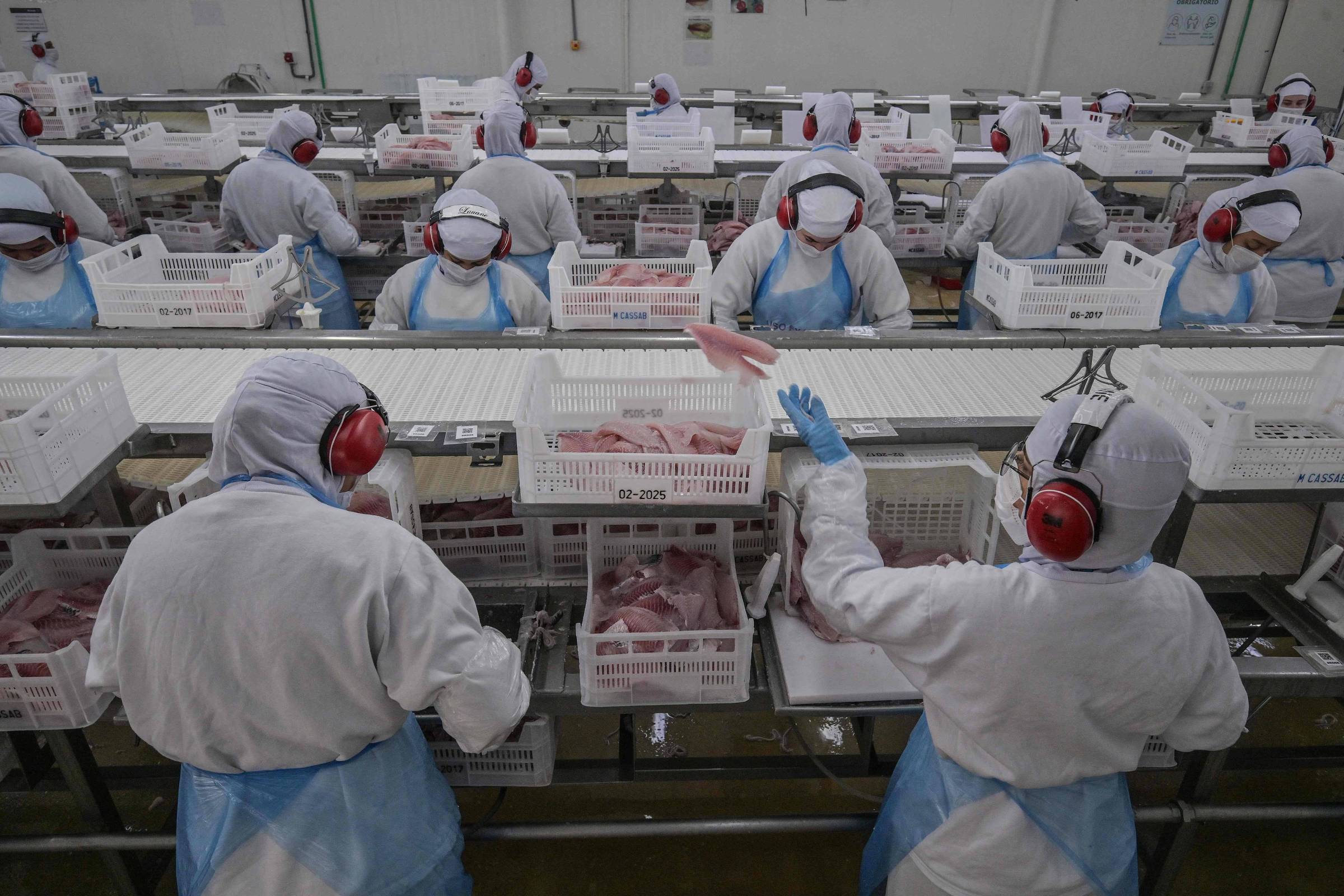 IBC-Br: Atividade econômica volta a crescer em agosto – 16/10/2025 – Mercado