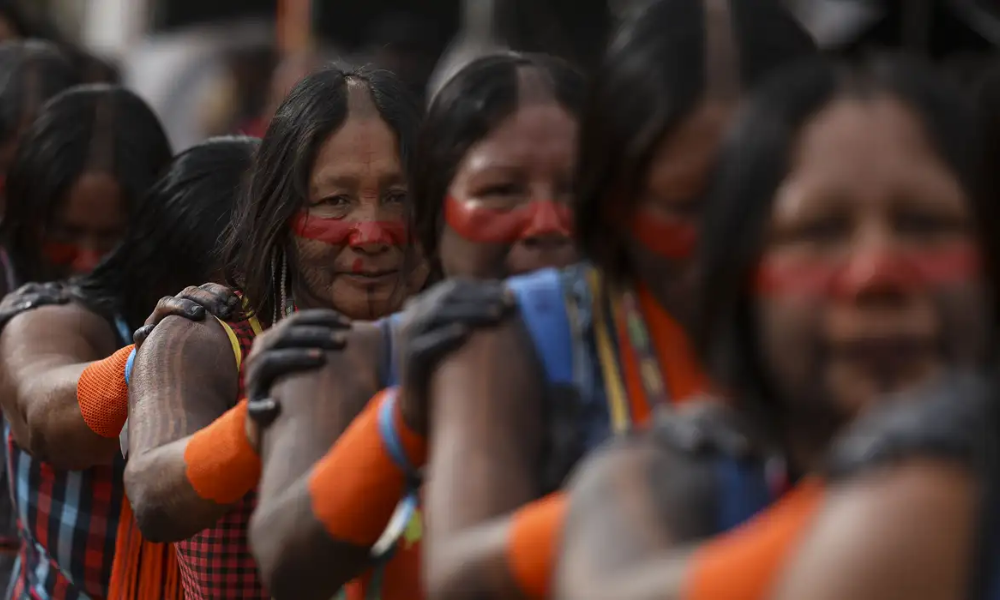 Metade dos povos indígenas isolados do mundo pode desaparecer em dez anos, adverte ONG