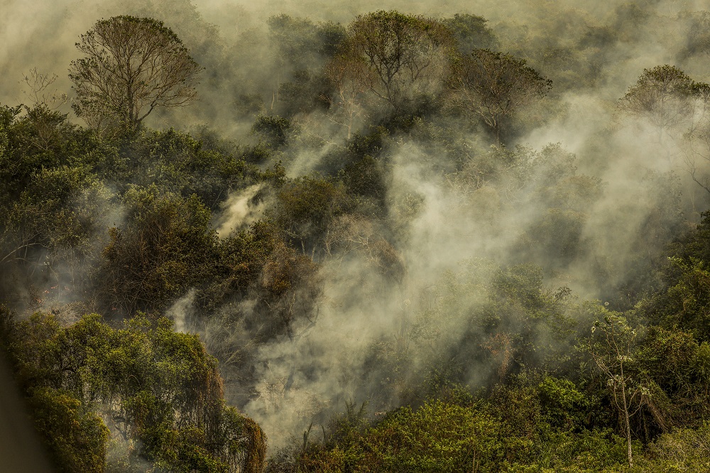 Lei do Pantanal é avanço, mas depende de fiscalização para sair do papel