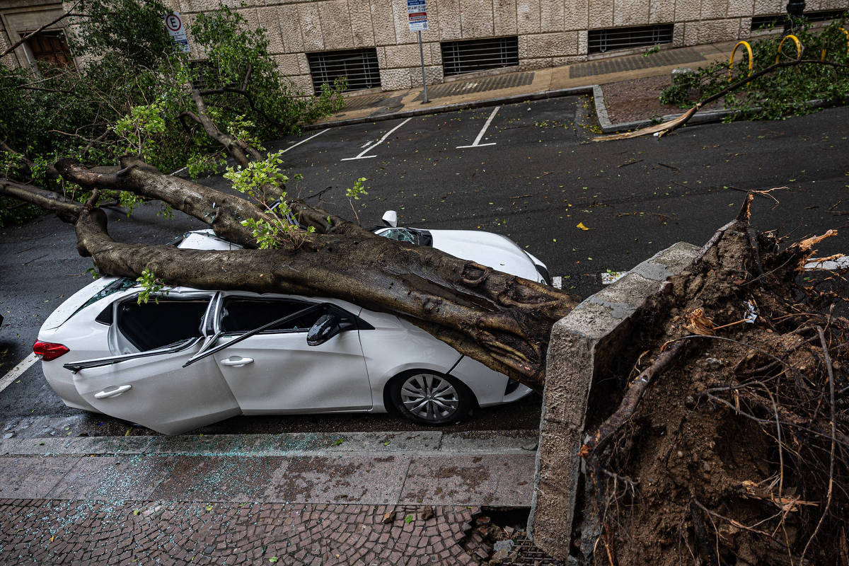 O perigo escondido nas atitudes conservadoras – 11/10/2025 – De Grão em Grão