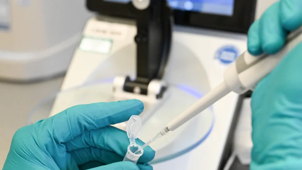 Pesquisadores criam óvulos com o DNA da pele; entenda