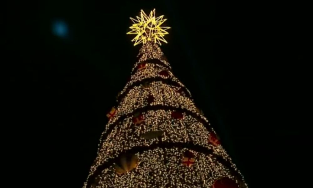 Árvore de Natal do Parque Vila Lobos é inaugurada e deve gerar R$ 50 milhões para SP