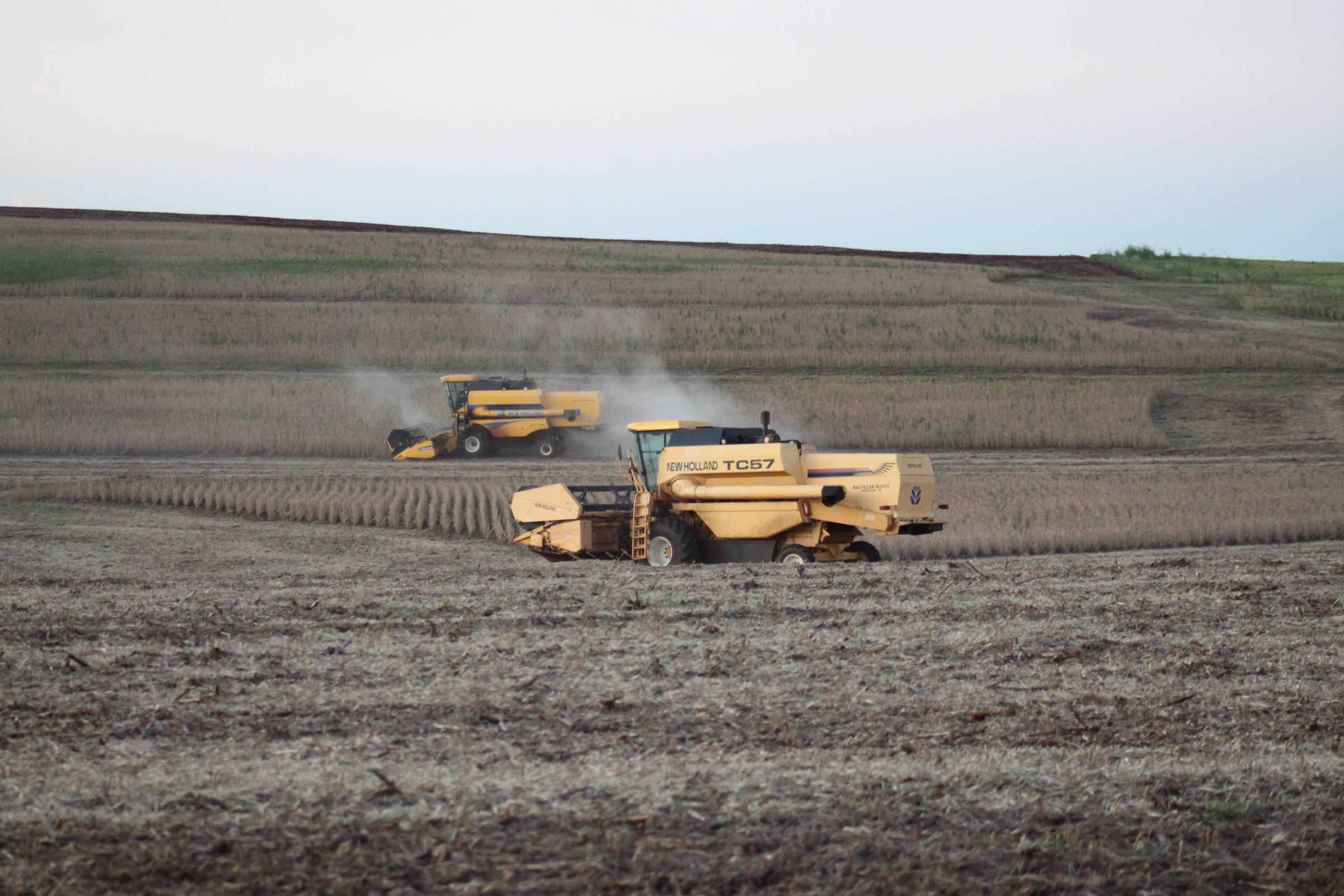 Cade rejeita disputa com STF sobre Moratória da Soja – 14/11/2025 – Mercado