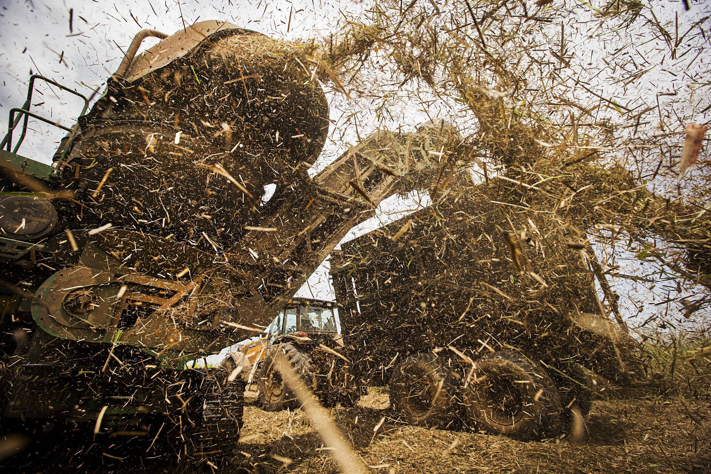 Etanol avança para ferrovias e aviação após 50 anos – 14/11/2025 – Mercado