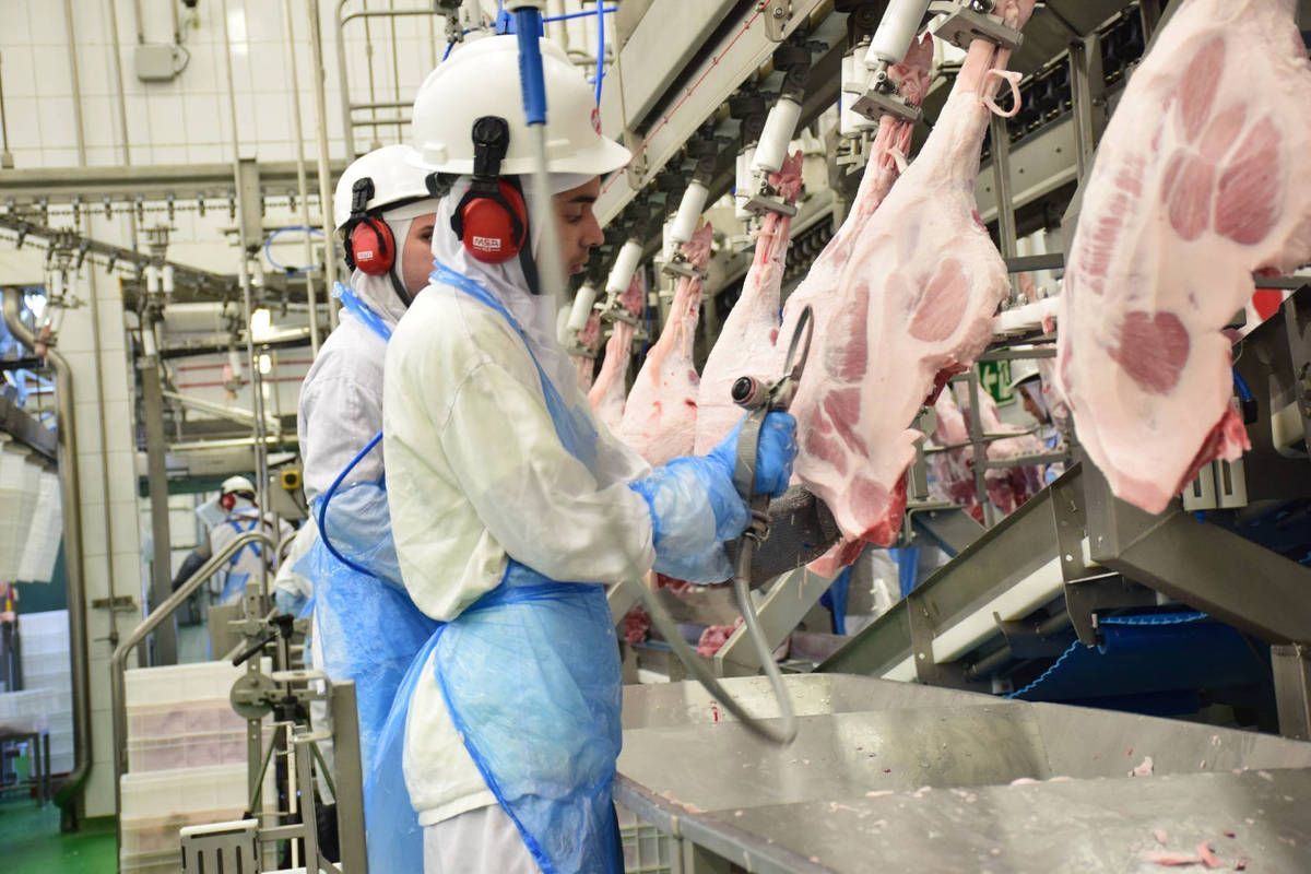 México suspende carne suína da Espanha por peste africana – 29/11/2025 – Mercado