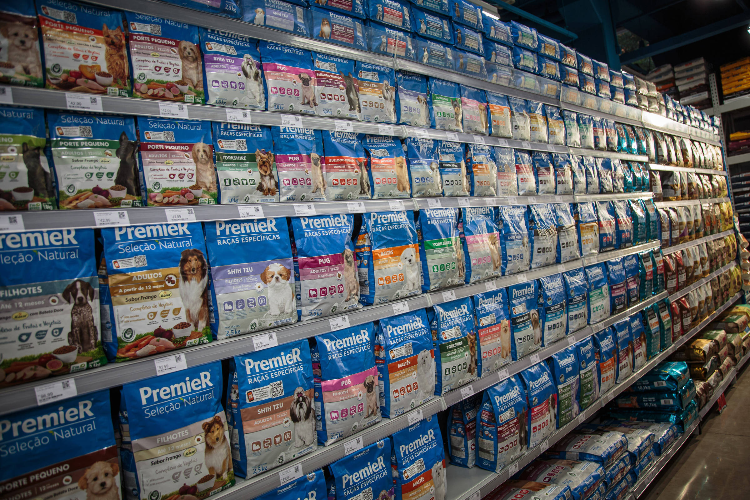 Petz e Cobasi: fusão caminha para aprovação com restrições – 04/12/2025 – Painel S.A.