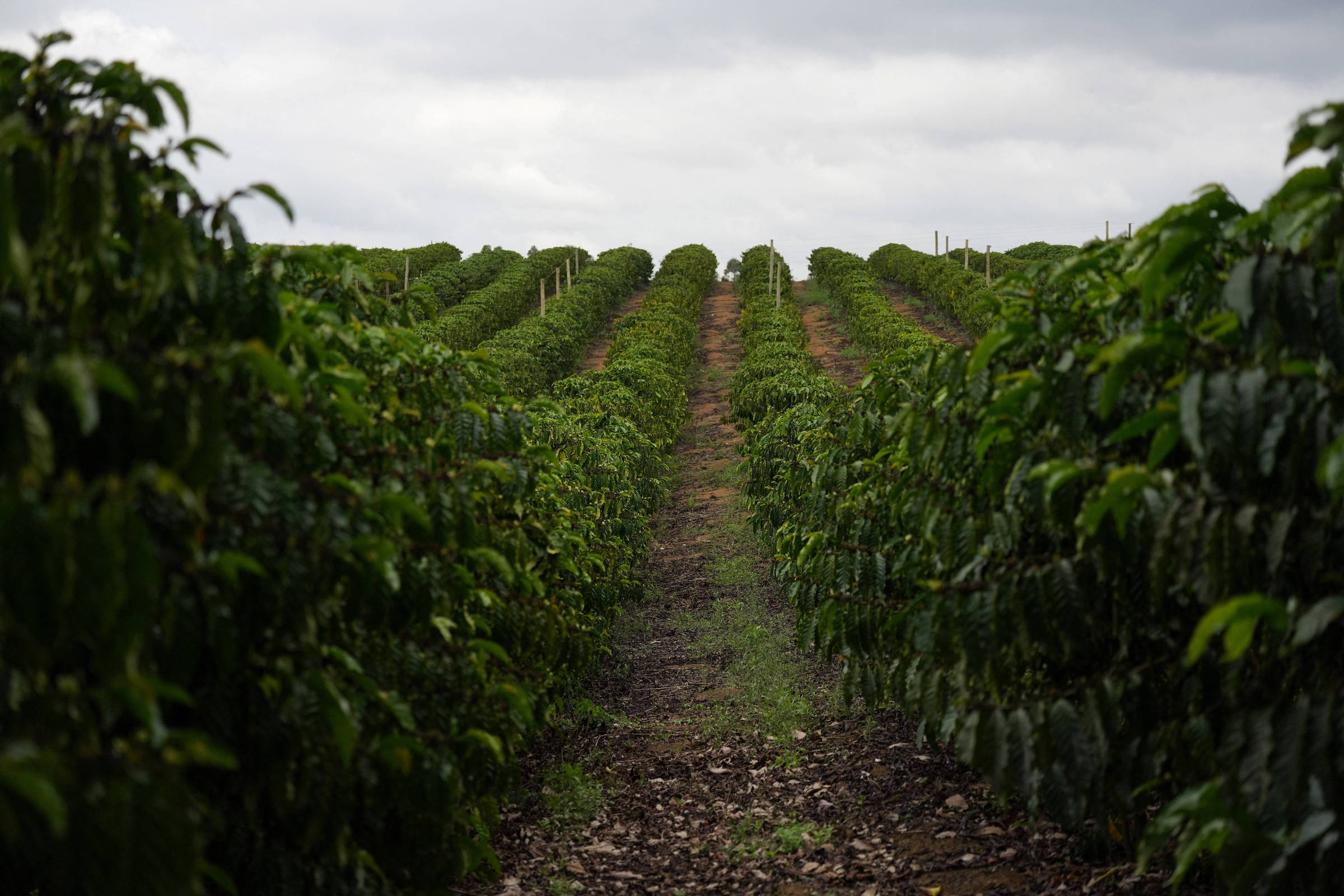 Política de Trump ainda é desafio para o Brasil – 09/12/2025 – Vaivém