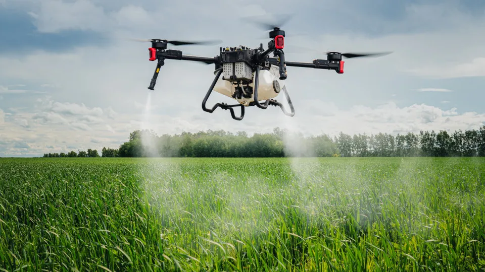 Retrospectiva 2025: As maiores descobertas científicas desse ano