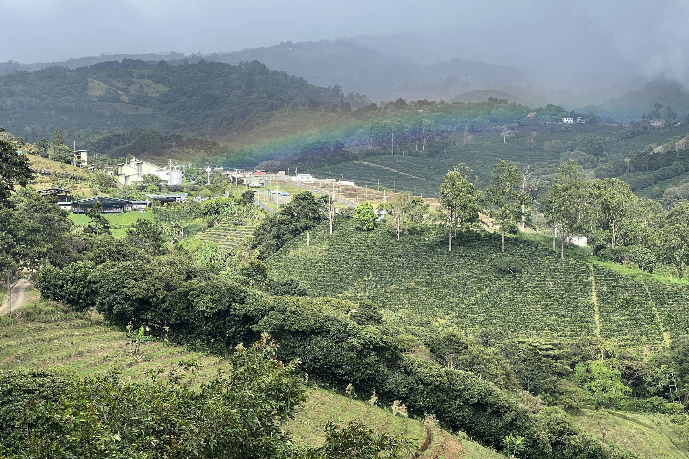 Starbucks pesquisa café resistente às mudanças climáticas – 03/12/2025 – Café na Prensa