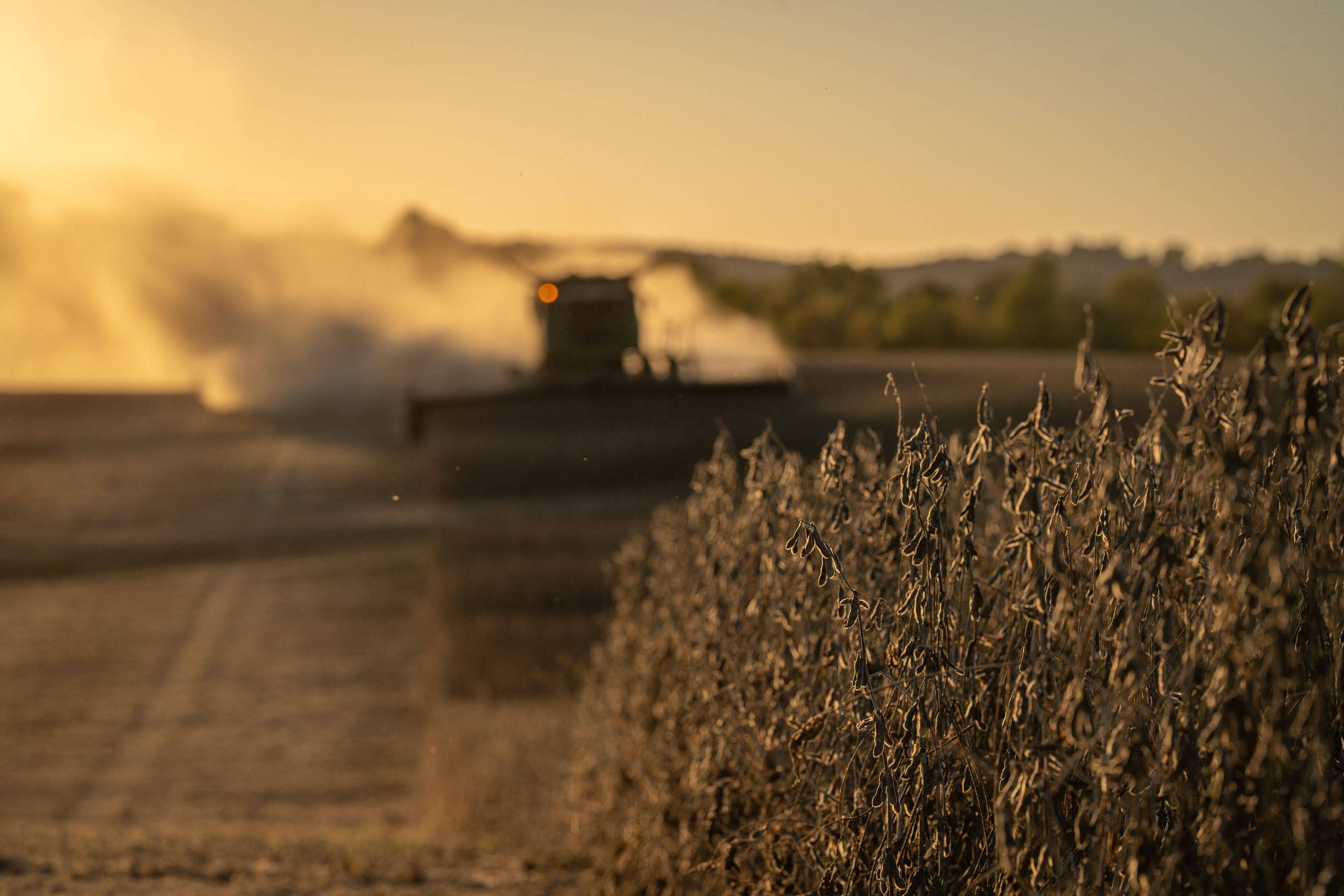 Tarifas: Trump anuncia auxílio para agricultores afetados – 08/12/2025 – Mercado