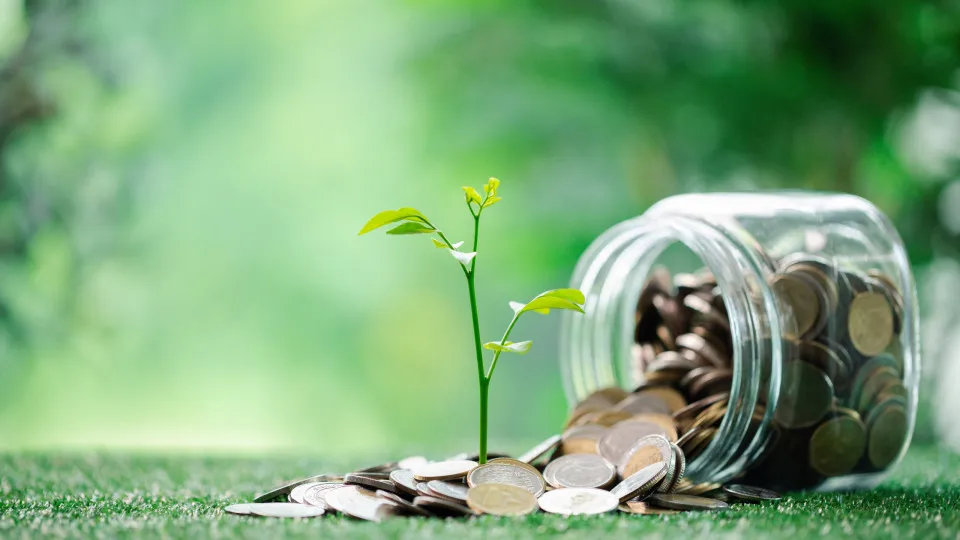 Três signos podem ter sorte com dinheiro nesta semana